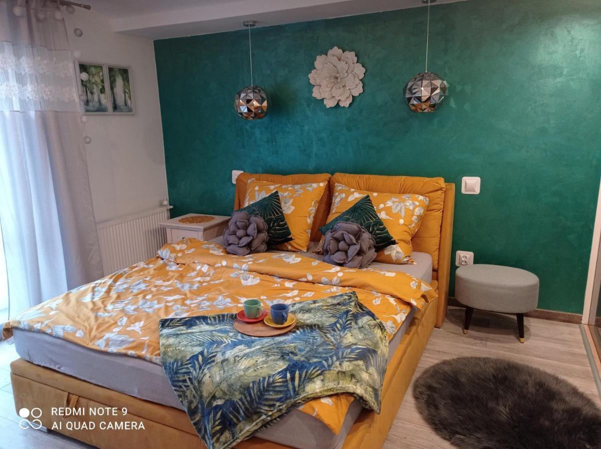 Apartamenty Sokolec Ludwikowice Kłodzkie Zewnętrze zdjęcie
