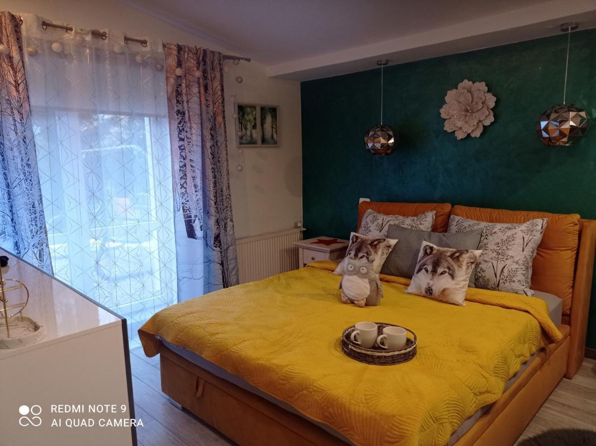 Apartamenty Sokolec Ludwikowice Kłodzkie Zewnętrze zdjęcie